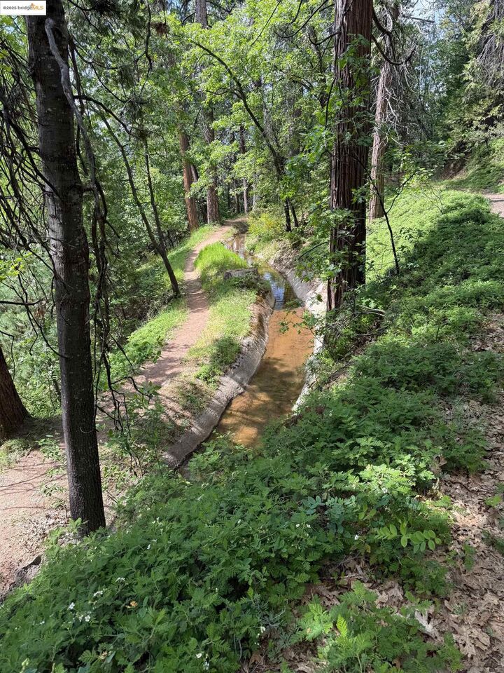 Property Photo:  0000 Cedar Pines Ave  CA 95383 
