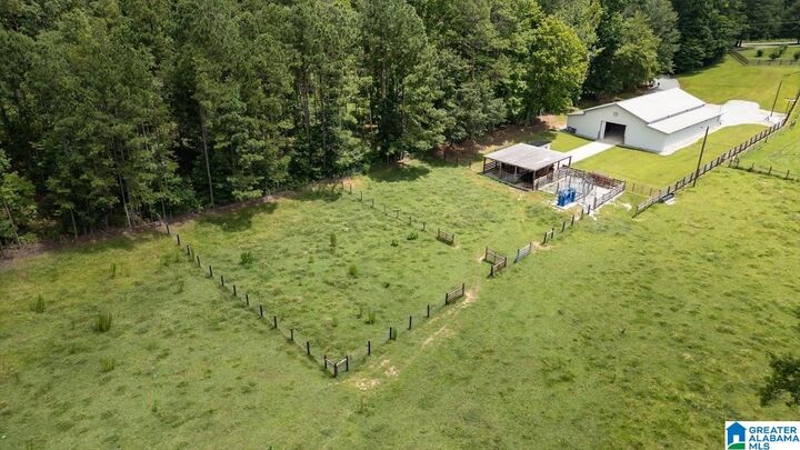 Property Photo:  0 County Road 19 0  AL 36264 