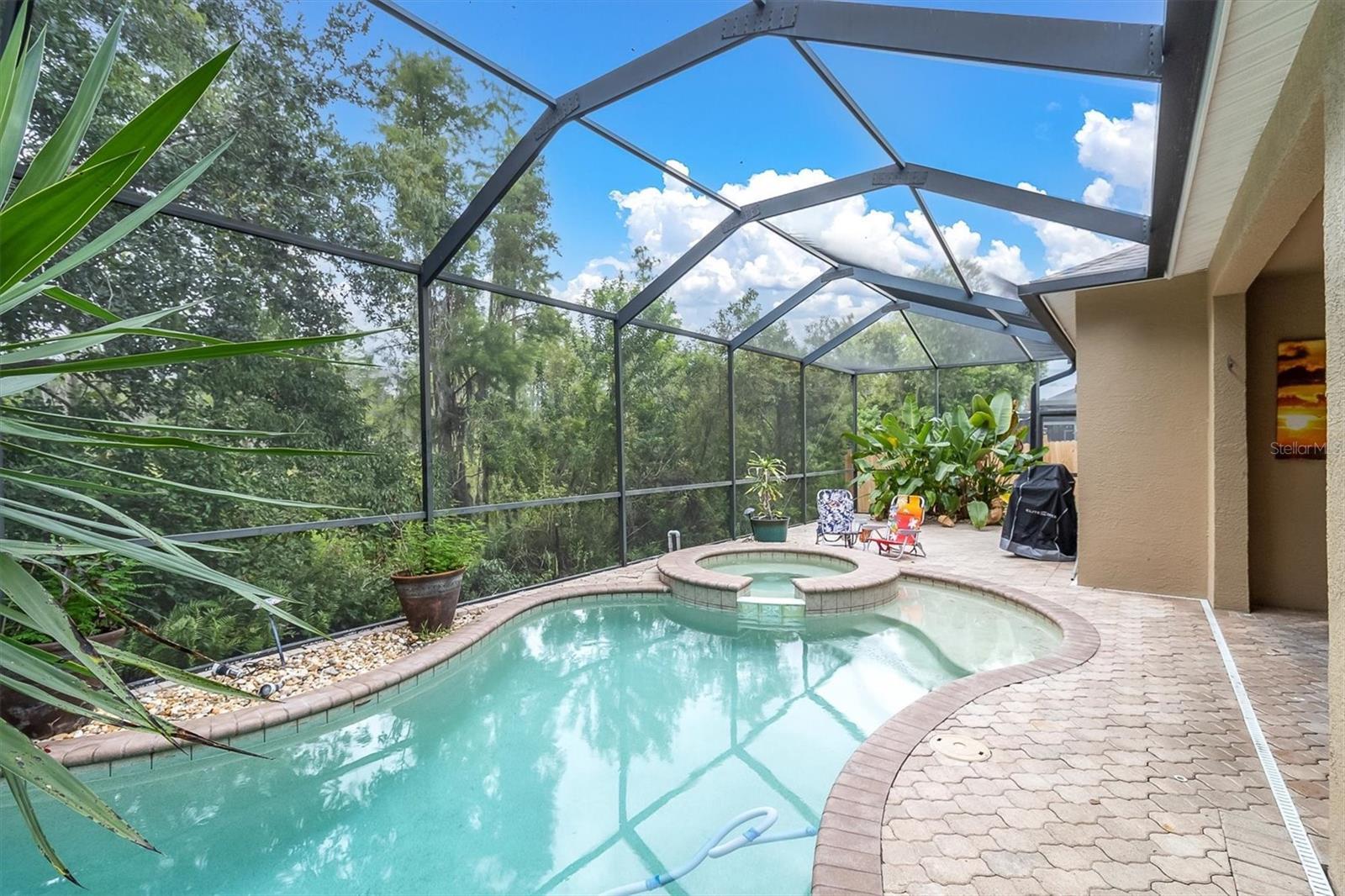 Property Photo: 8729 Torchwood Drive FL 34655