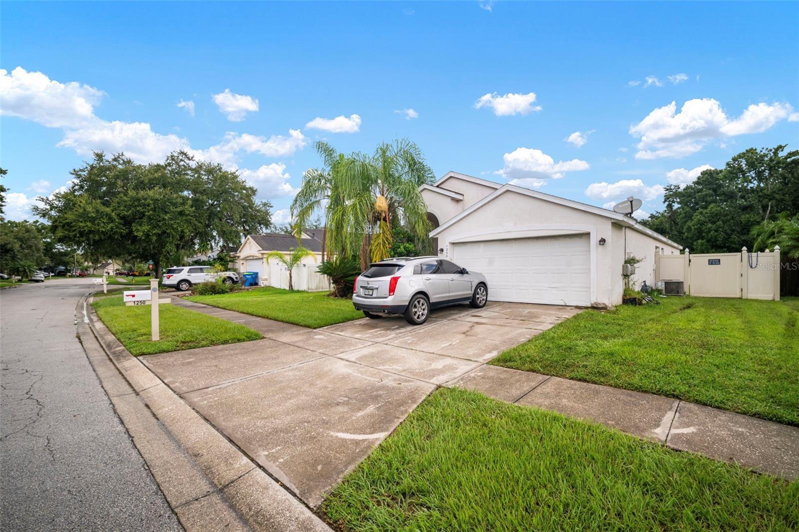 Property Photo:  1250 Timber Trace Drive  FL 33543 