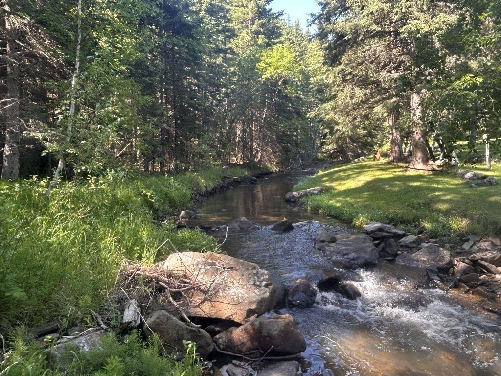 Tbd  Deadwood SD 57732 photo