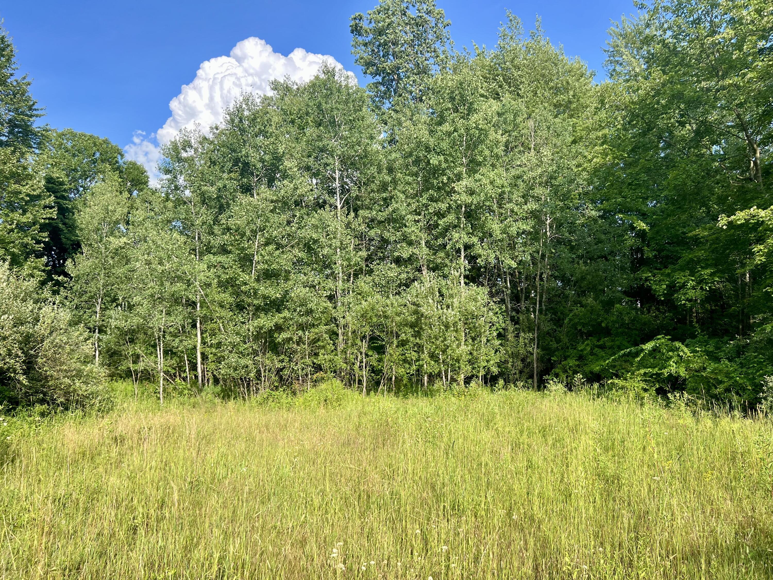 Property Photo: 1143 38th Street MI 49010