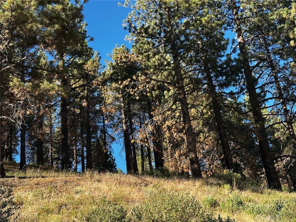 Property Photo:  1 Conway Dr Drive  CA 92382 