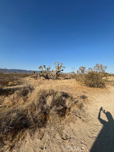 Property Photo:  0 E Ave W 8 Street  CA 93591 