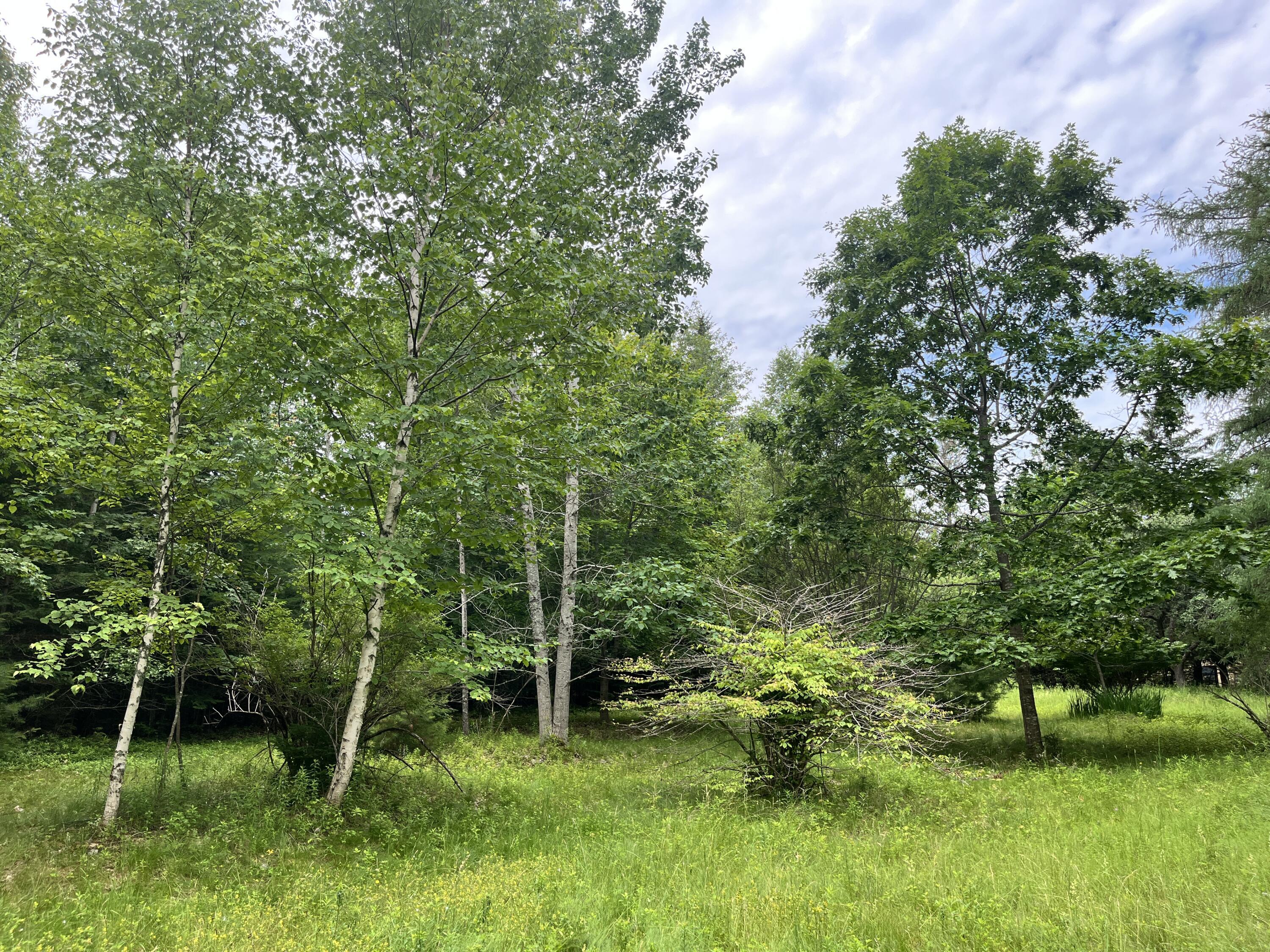 Property Photo:  0 Fish Point Road  ME 04640 