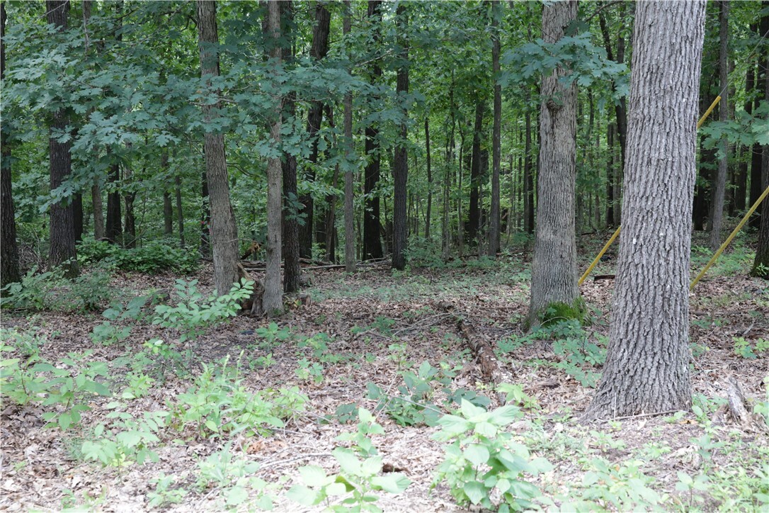 Property Photo:  Lot 34, Block 3 Runnymede Lane  AR 72715 