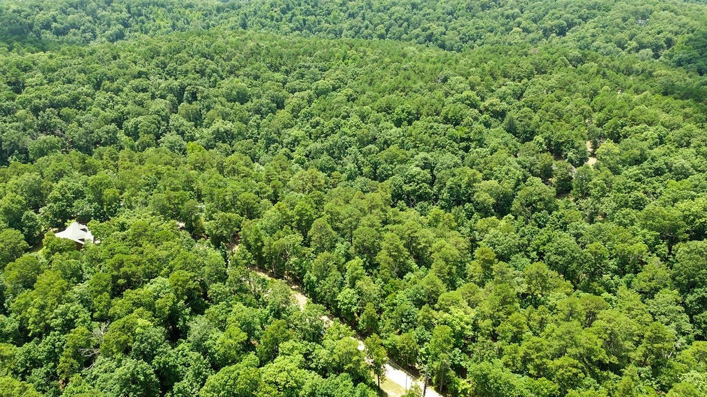 Property Photo:  15083 Crawford Point Road  AR 72756 