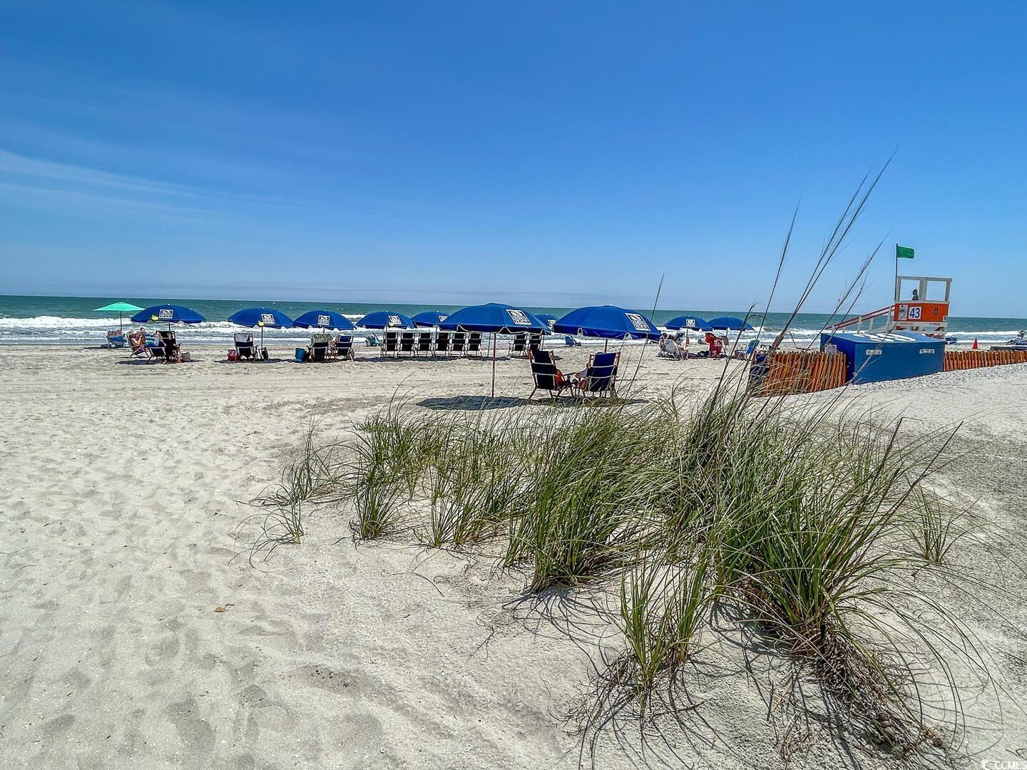 Property Photo: 1011 S Ocean Blvd. S 204 SC 29582