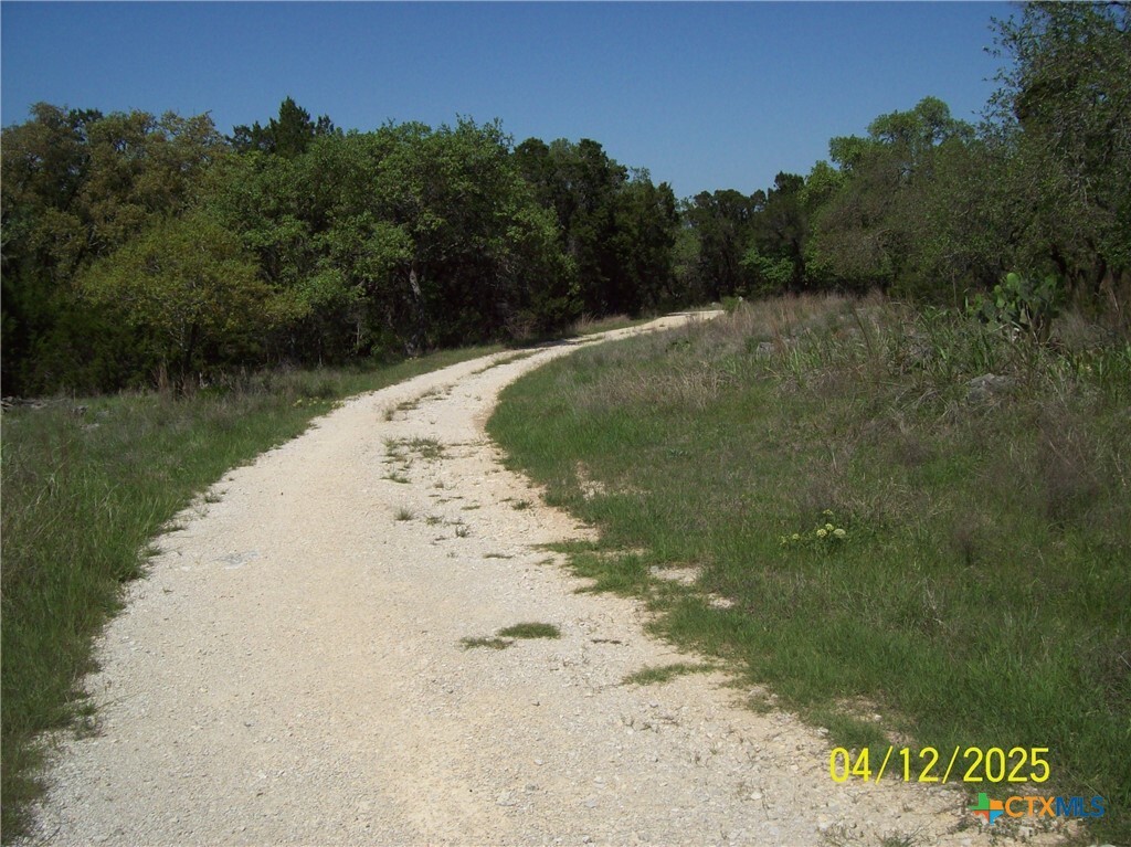 3824 Wegner Road  New Braunfels TX 78132 photo