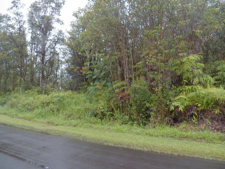 Property Photo: Pikake St HI 96771