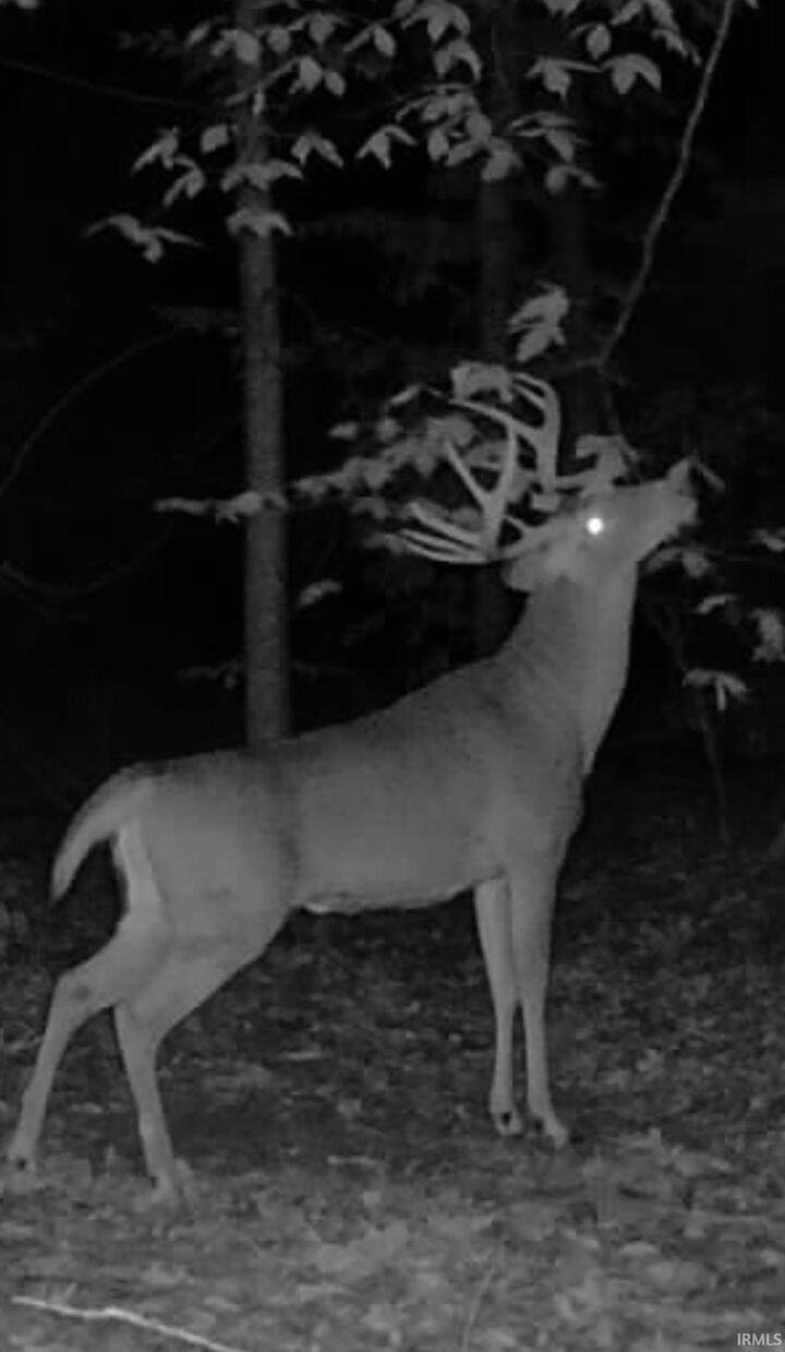 Property Photo:  00 Newark Road  IN 47459 