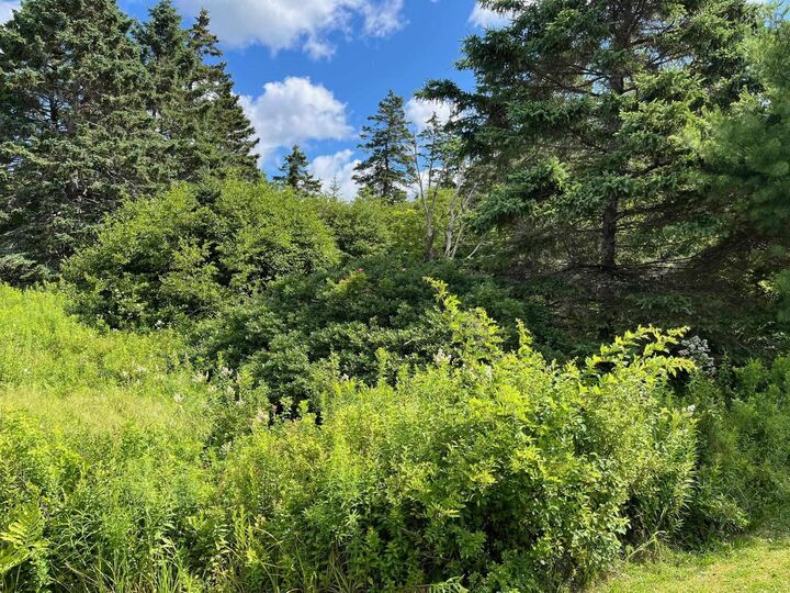 Property Photo: Lot 1 East Chezzetcook Road NS B0J 2L0