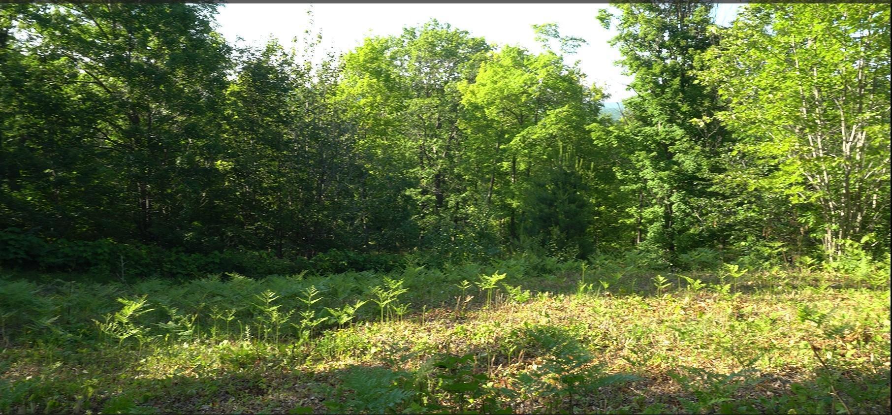 Property Photo: 83xxx - Lot 13 Ashwabay Road WI 54814
