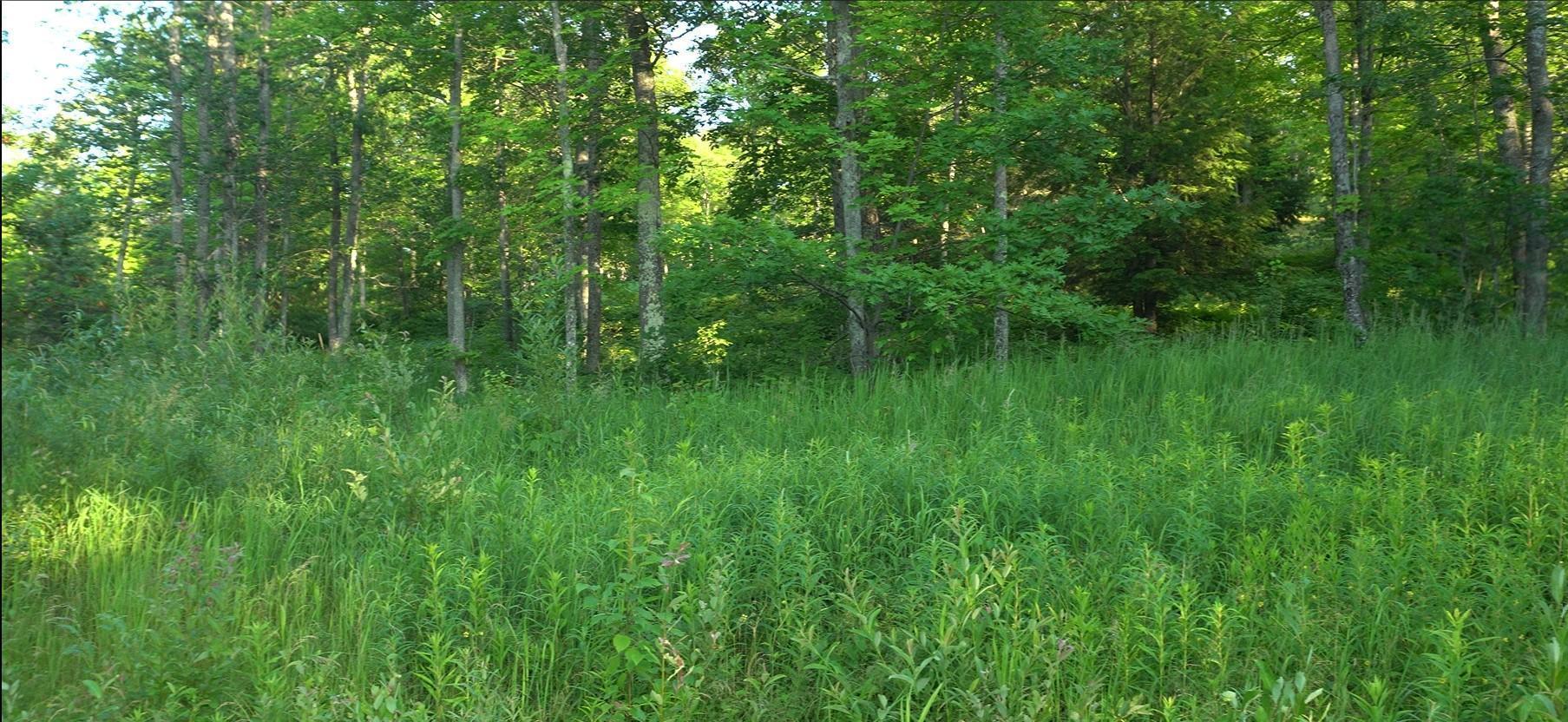 Property Photo: 83xxx - Lot 7 Ashwabay Road WI 54814