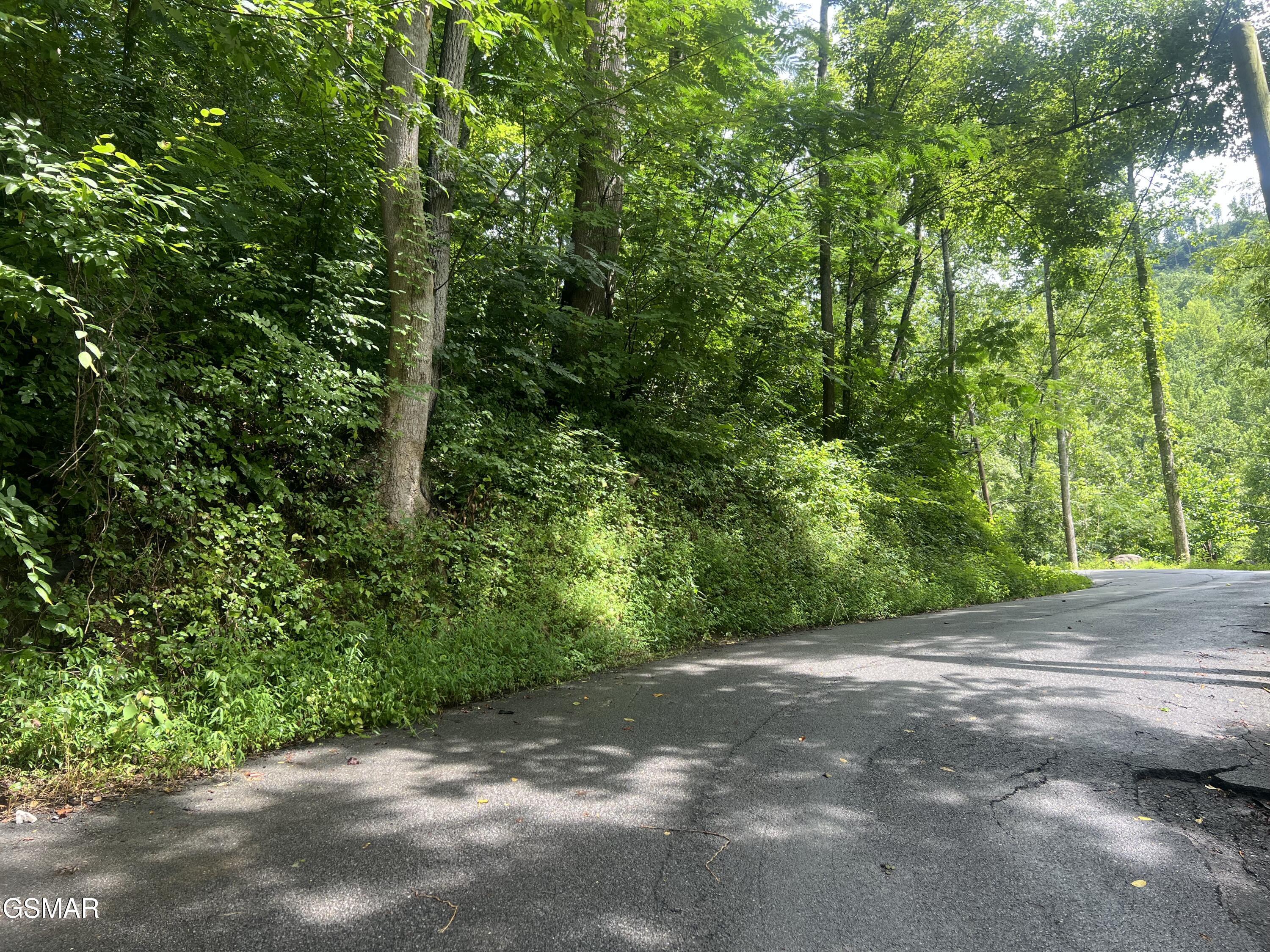Property Photo: 752 Loop Road TN 37738