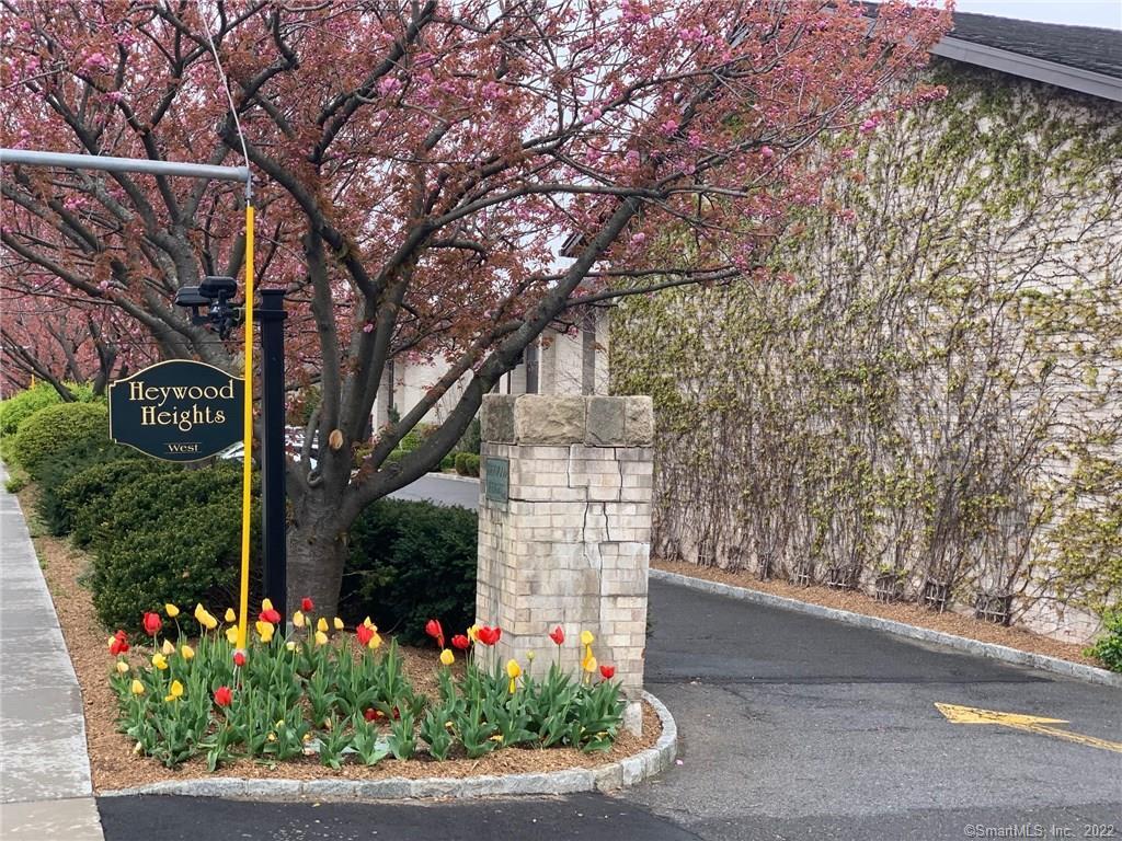 249 Hamilton Avenue 06  Stamford CT 06902 photo