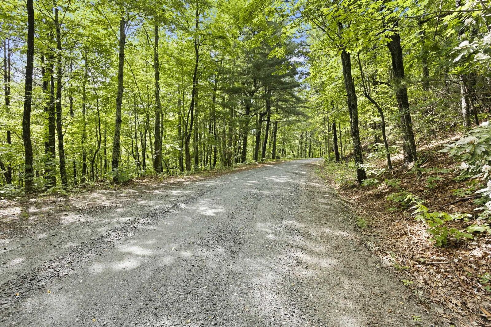 Property Photo:  430 Lakeview Drive ***  NC 28773 