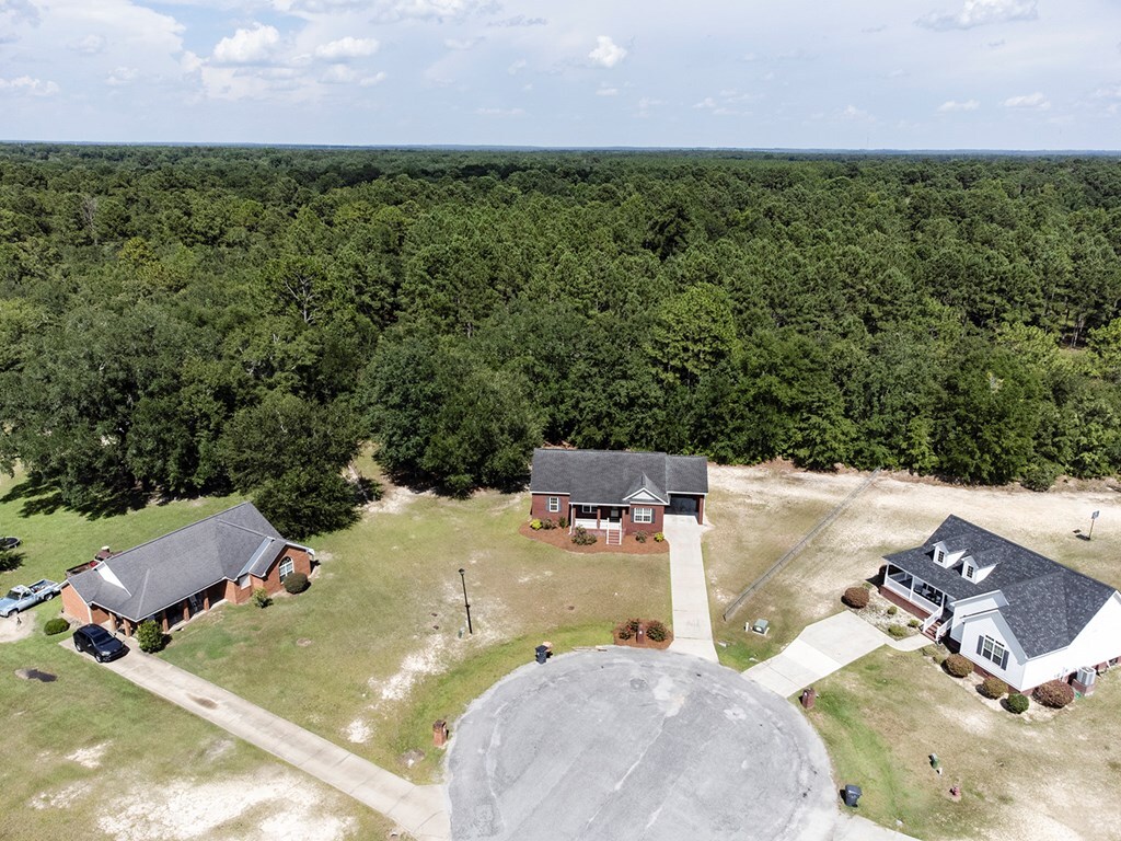Property Photo: 161 Cedar Lane GA 31730
