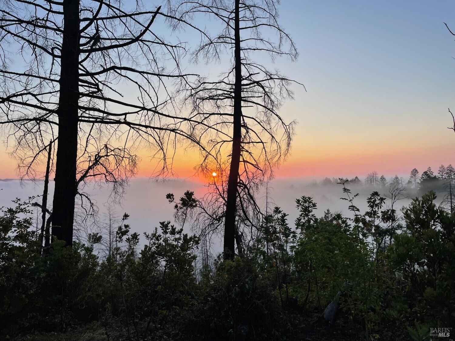 Property Photo:  3880 Spring Mountain Road  CA 94574 