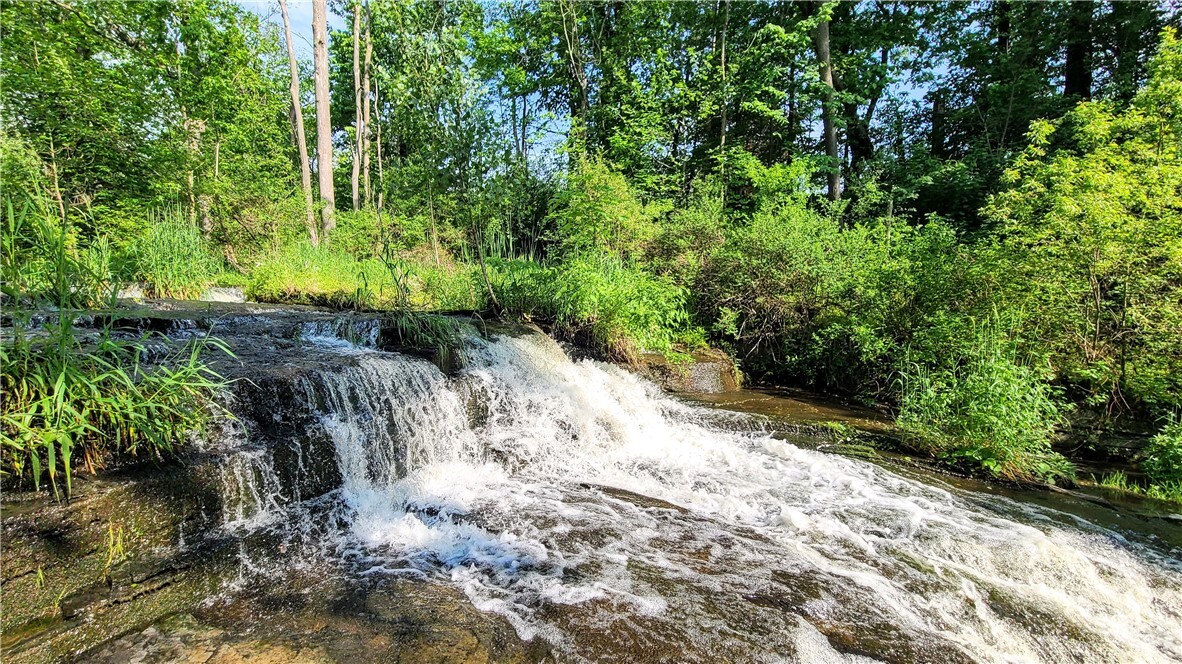 Property Photo: 163 Asbury Road NY 14882
