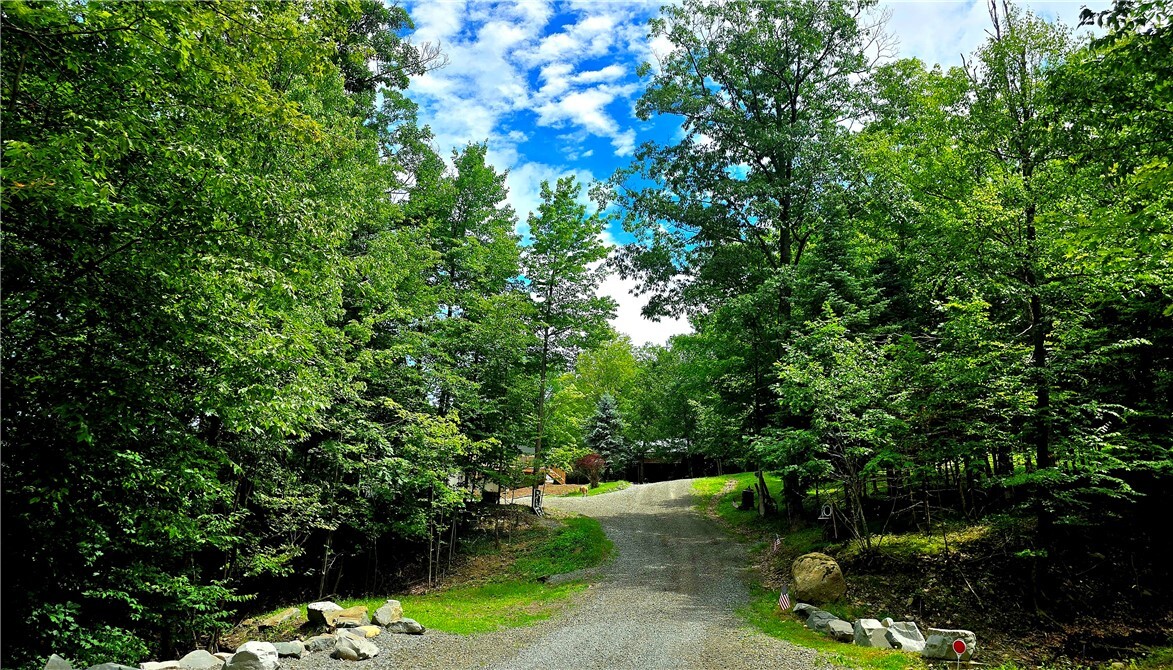 Property Photo: 9751 Colegrove Hill Road NY 14840