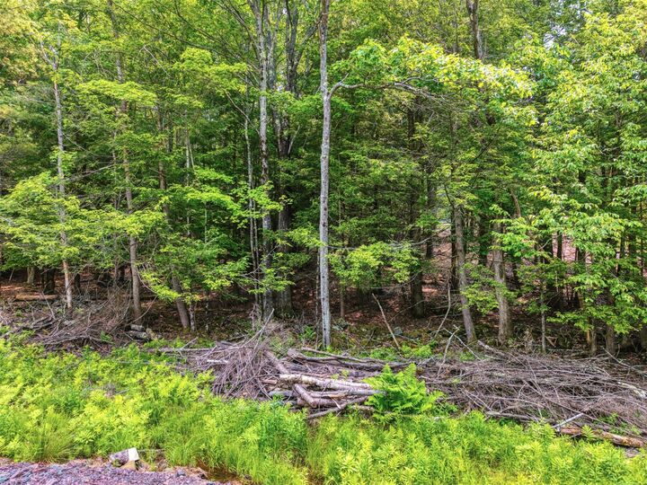 Property Photo: Tbd Boulder Brook Lot 13B Road NY 12496