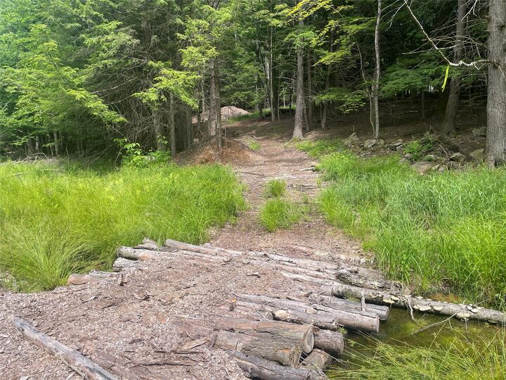 Property Photo: Tbd Boulder Brook Lot B12 Road NY 12496