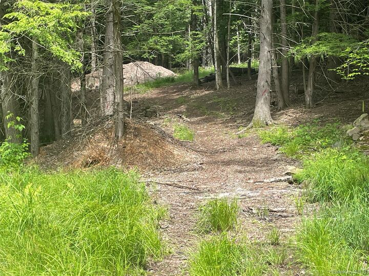 Property Photo: Tbd Boulder Brook Lot B12 Road NY 12496