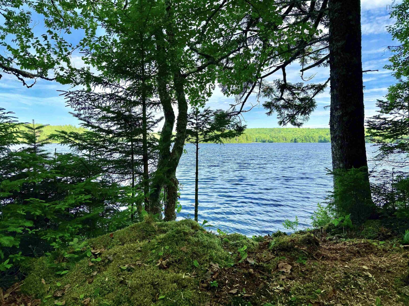 Property Photo:  Lot 40 Cliff Road  NS B0J 2M0 