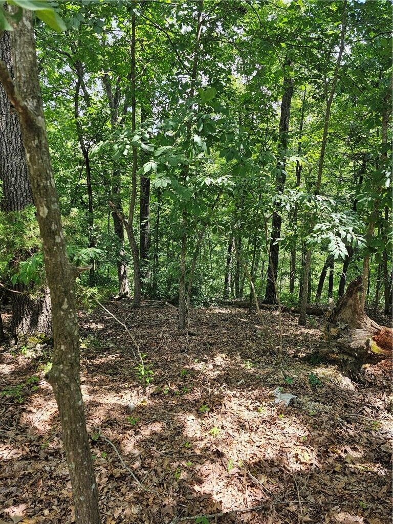 Property Photo:  Blueberry Lane  AR 72745 