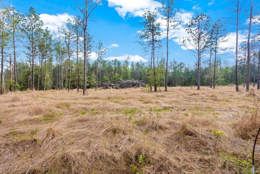 Property Photo: 13 Gimnick Road LA 70657
