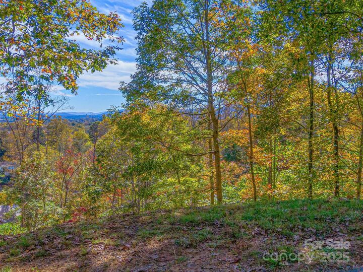 Property Photo: 17 Denali Drive NC 28806
