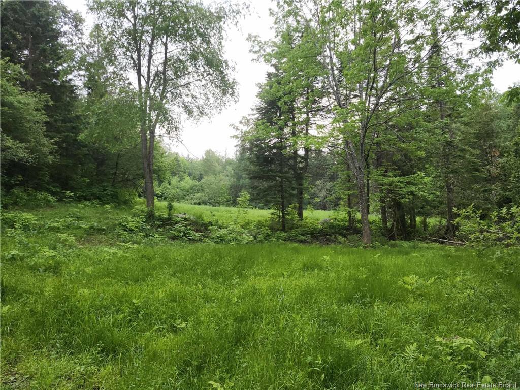 Photo de la propriété:  0 Grant Settlement Road  NB E6H 2K4 