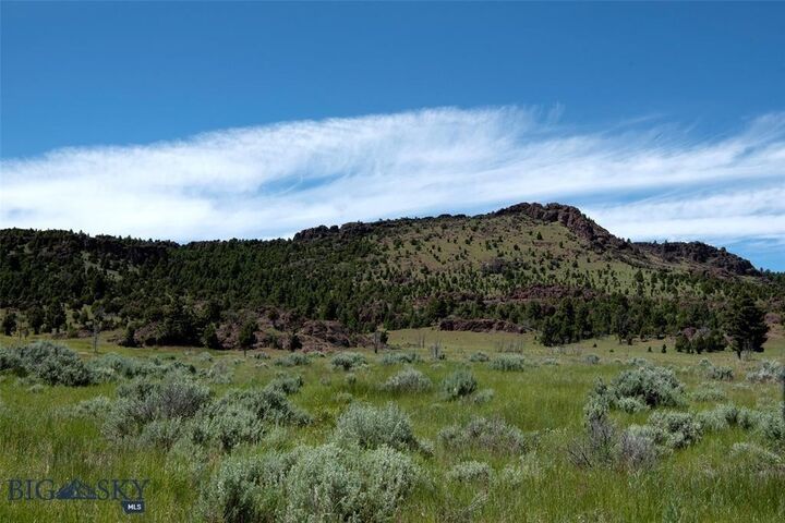 Property Photo:  Tbd Lookout Trail  MT 59701 