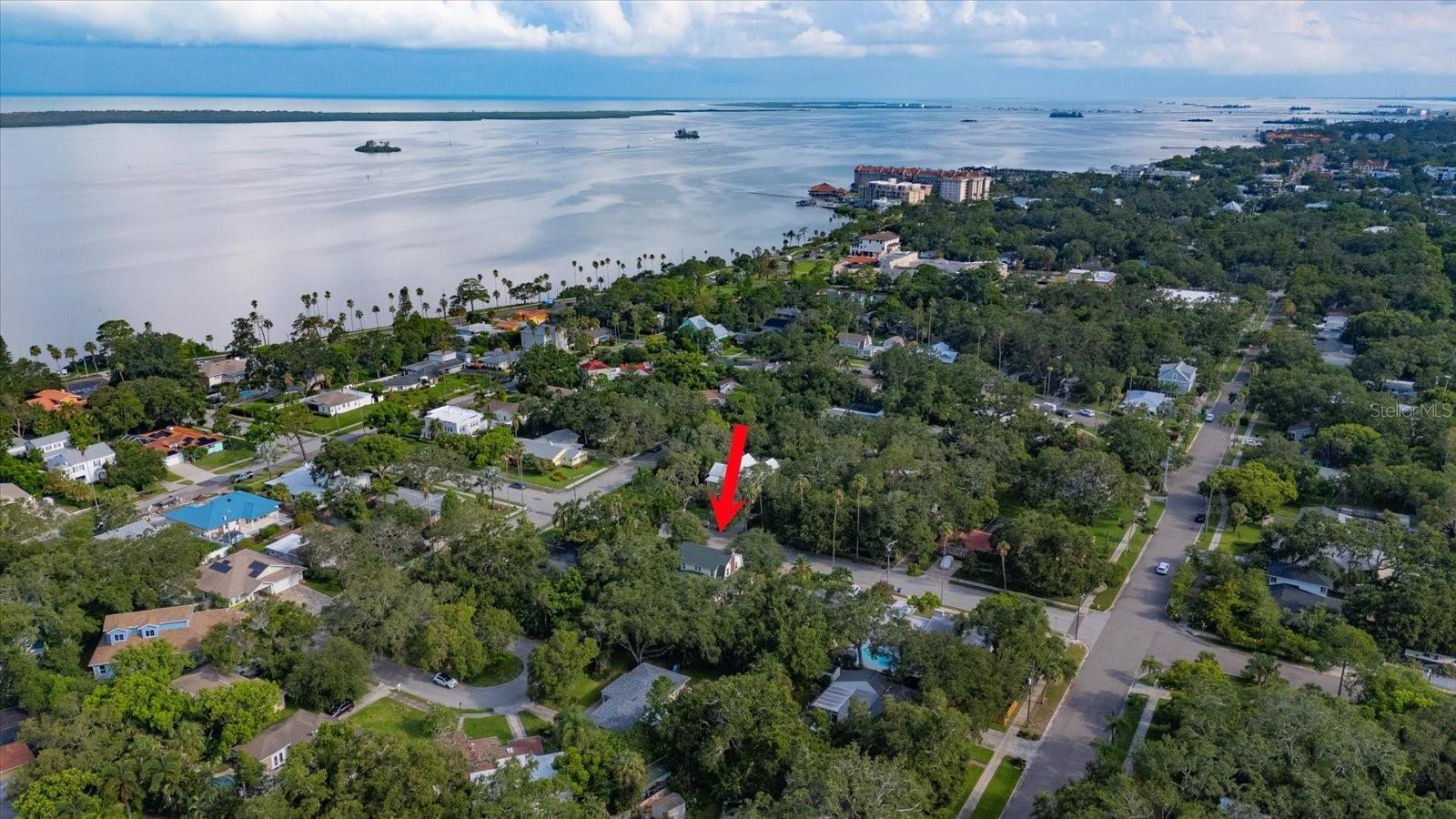 Property Photo: 239 Florida Avenue FL 34698
