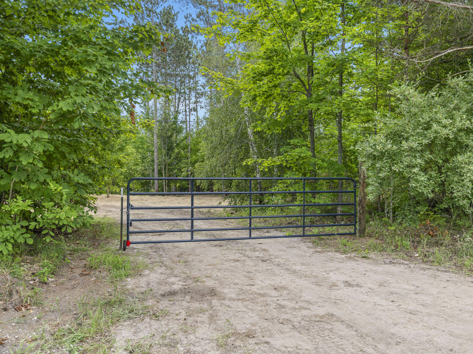 Property Photo: 8175 King Road Road MI 49616