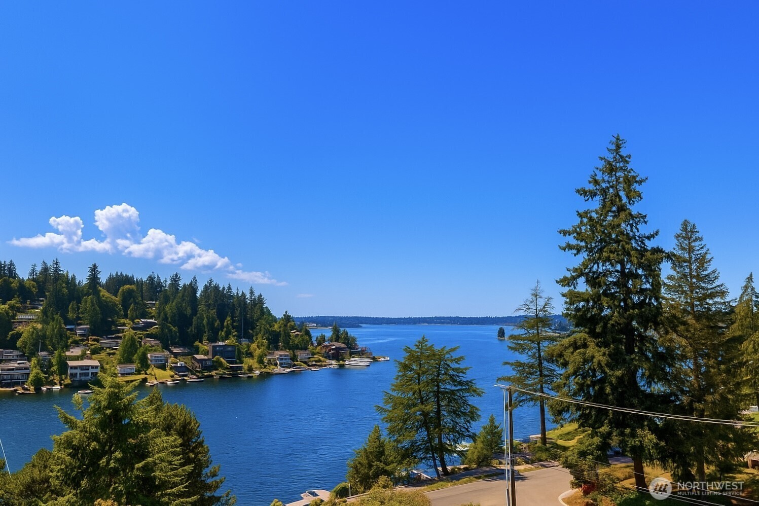Property Photo:  9909 NE 1st Street 402  WA 98004 