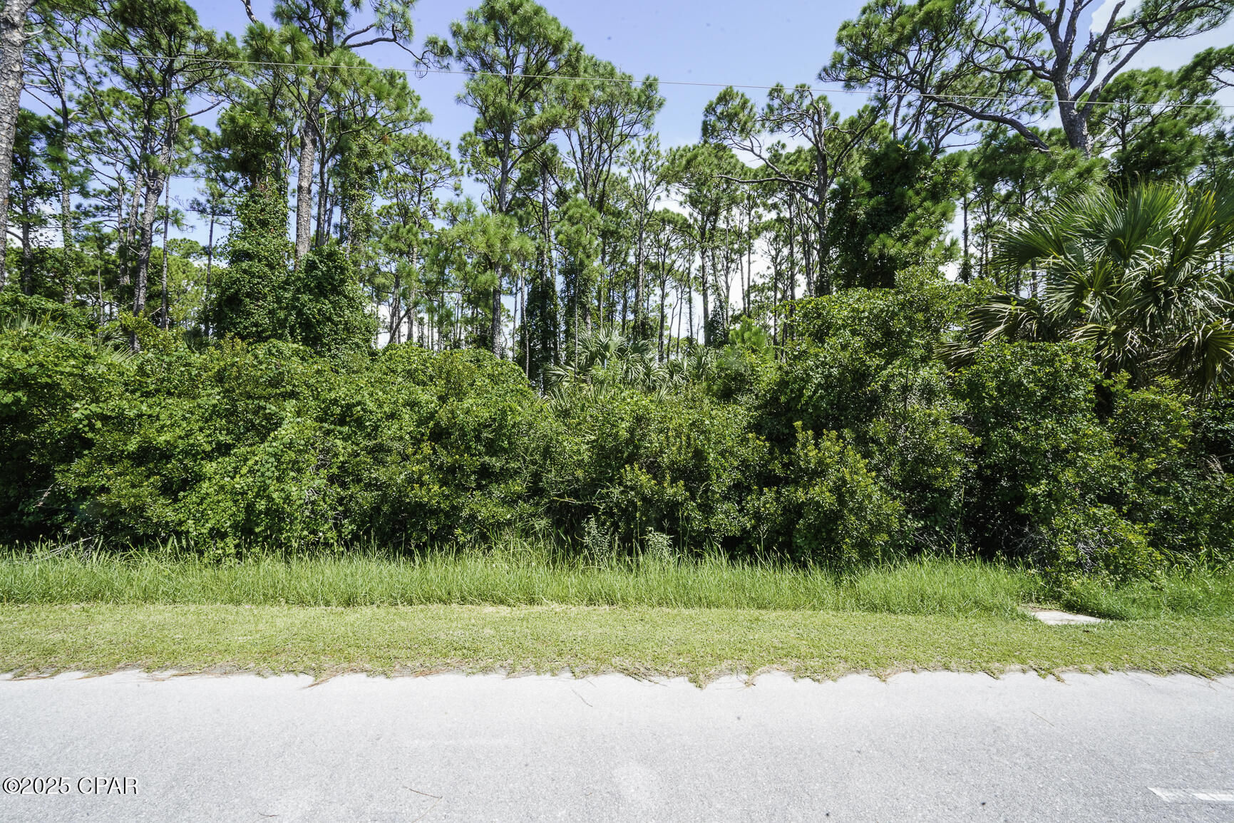 Property Photo:  Tbd Cape San Blas Road  FL 32456 