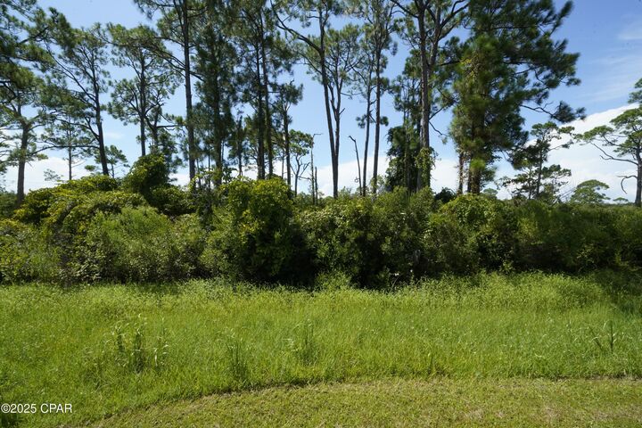 Property Photo: Tbd Cape San Blas Road FL 32456