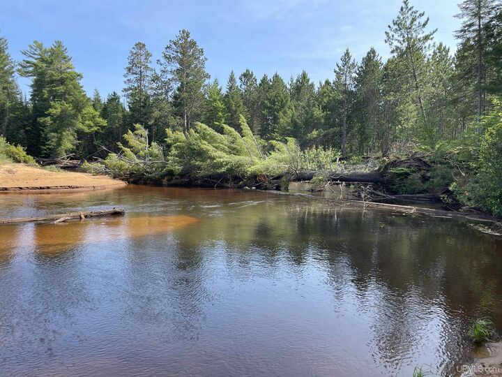 Property Photo: Tbd Co Rd 448 Road MI 49854