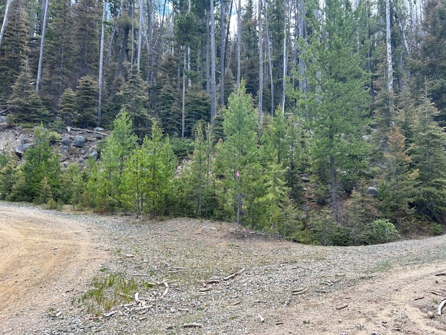 Property Photo: 269 Boulder Chief Road MT 59631