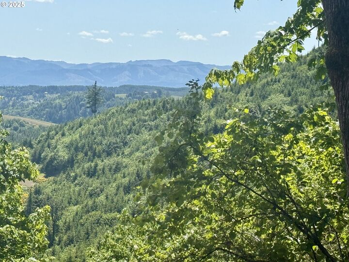 Property Photo:  11896 SW Dupee Valley Rd  OR 97128 