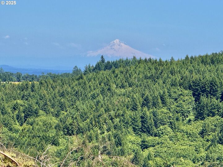 Property Photo:  11896 SW Dupee Valley Rd  OR 97128 