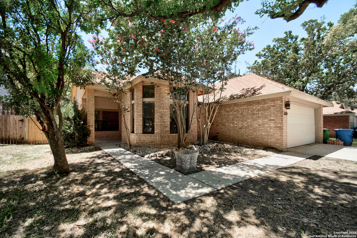 3234 Falcon Grove  San Antonio TX 78247 photo