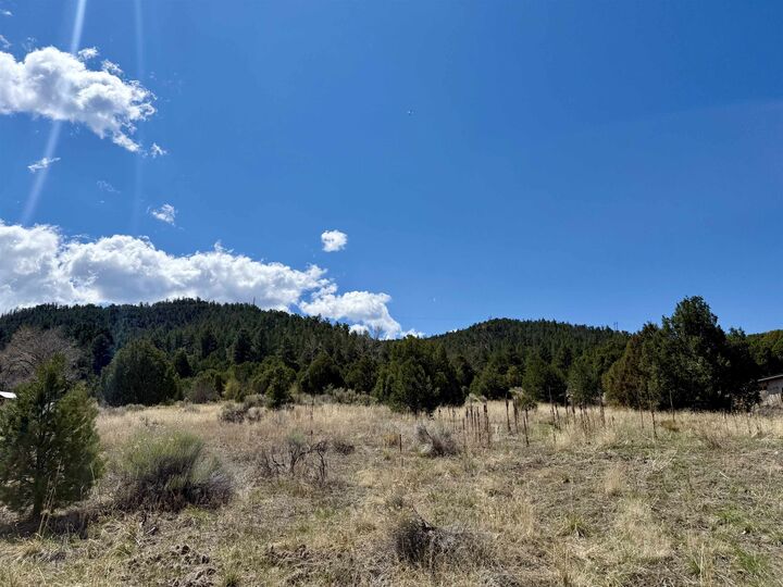 Property Photo:  5 Acres Tract 47 Old Red River Rd  NM 87556 