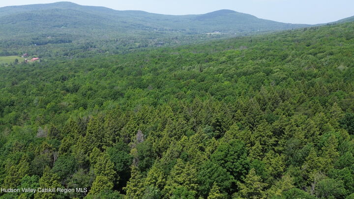 Property Photo:  0 Off Larsen Dr  NY 12496 