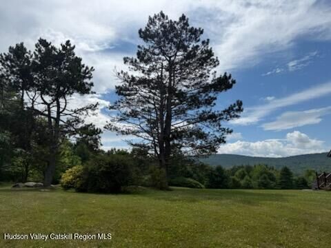 Property Photo:  0 Off Larsen Dr  NY 12496 