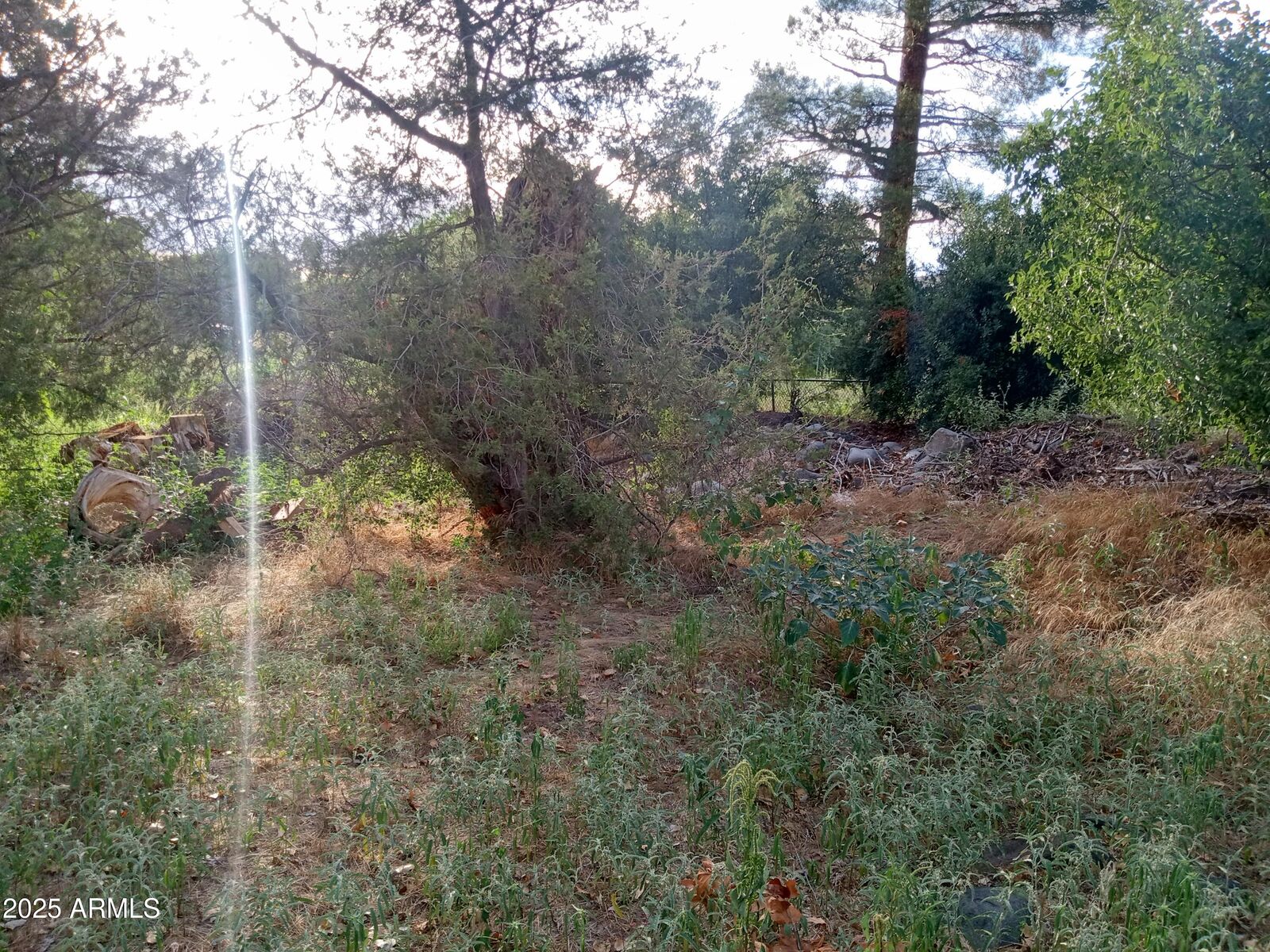 Property Photo: 3077 S Wagner Drive 529 AZ 86322