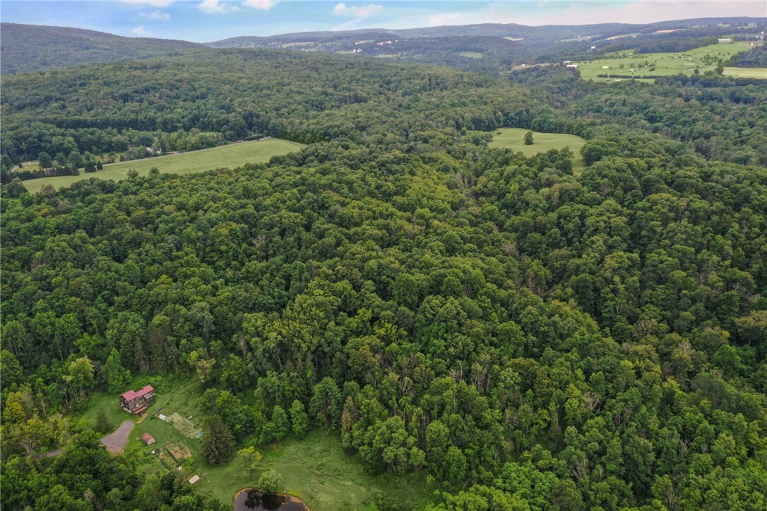 Property Photo: 0 Slators Lane Lane NY 14867