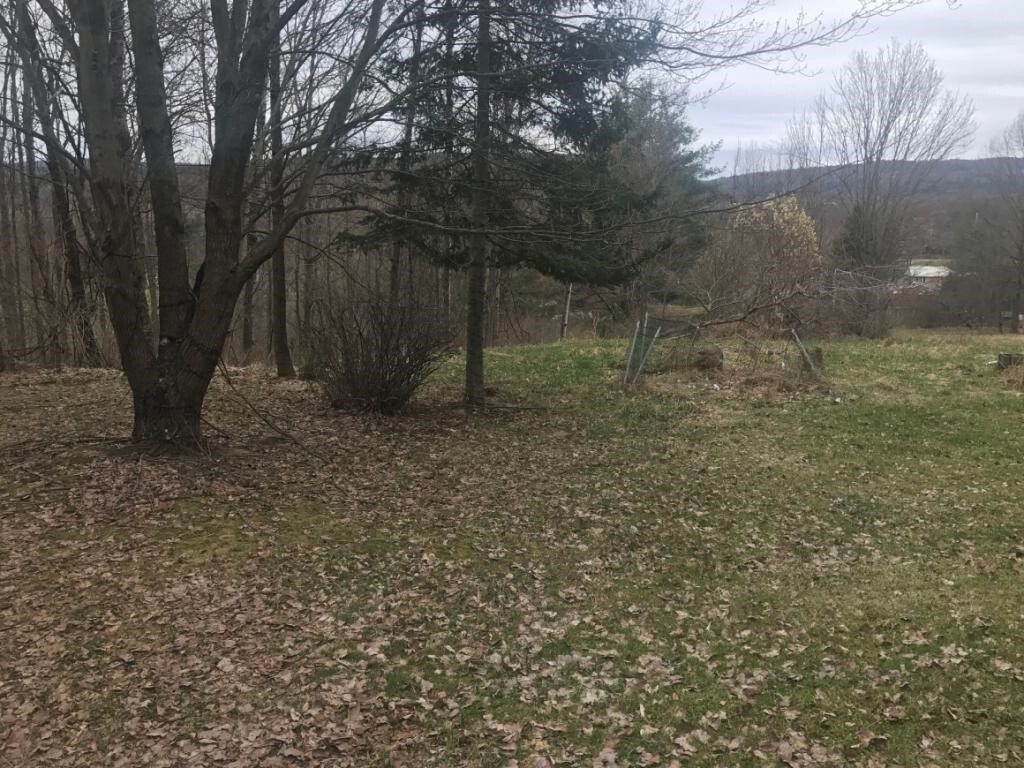 280 Saxby Road  Windsor NY 13865 photo